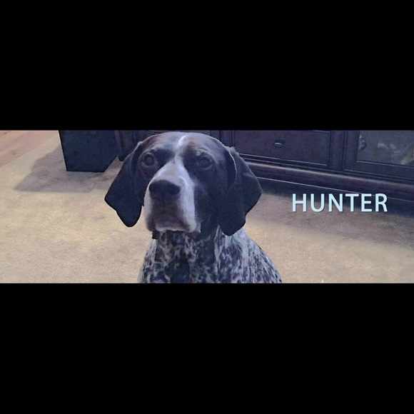 Profile Picture of Jennifer Lapite (@jlapite) on Poshmark