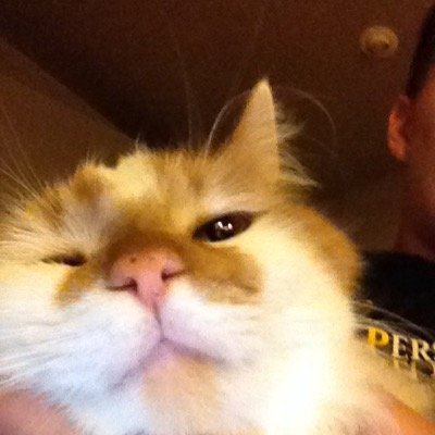 Profile Picture of Alex Hanger (@HangerAlex) on Twitter