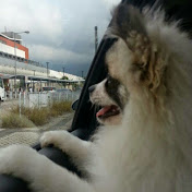 Profile Picture of Joe Tai (@brightandbreezy4518) on Youtube