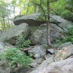 Profile Picture of Brian Christopher Dormio (@briandormio) on Instagram