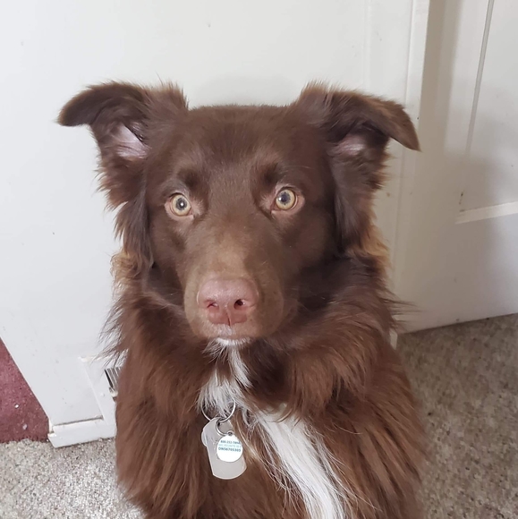 Profile Picture of Michael Majchrzak (@seasicksix) on Poshmark