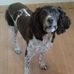 Profile Picture of Graham Houston (@graham.houston.75) on Facebook