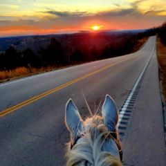 Profile Picture of Caley Dawn Fite (@@caleydawnfite) on Tiktok