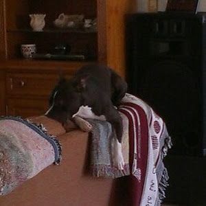 Profile Picture of jessicamischloney (@jessicamischloney) on Tiktok