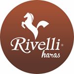 Profile Picture of Haras Rivelli (@harasrivelli) on Instagram