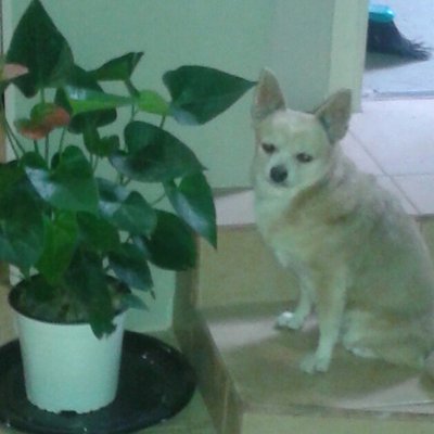 Profile Picture of Terry Whiting (@TerryWhitingOR) on Twitter