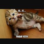 Profile Picture of Zoe Pruitt (@pruittzoe) on Instagram