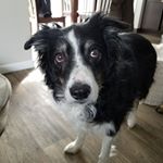 Profile Picture of Lyle Alexander Schemmerling (@lyleschemmerling) on Instagram