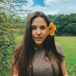 Profile Picture of Amanda Bergmann (@amandabrgmn) on Instagram