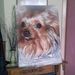 Profile Picture of Anita Van Grondelle Tousain (@anitagrondelle) on Pinterest