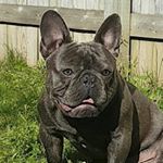 Profile Picture of Jerrico Gray (@kingrico902) on Instagram