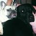 Profile Picture of Rocio RM (@riveramuoz) on Pinterest