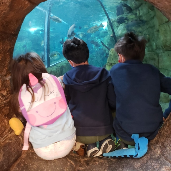 Profile Picture of Ajelet Mackender (@cierva_7) on Poshmark