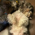 Profile Picture of Nicholas Terrell (@nicholas.terrell) on Instagram