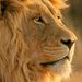 Profile Picture of ankana jassal (@ankanajassal1) on Pinterest