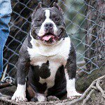 Profile Picture of Julián Olivares (@genesis_bulls) on Instagram