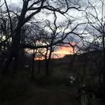 Profile Picture of Joan Walters (@joan.walters.860429) on Facebook