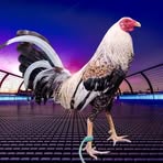 Profile Picture of James Arkeed (@james.arkeed) on Facebook