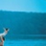 Profile Picture of John Mcleod (@adigitalneedle) on Flickr