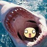 Ethan Wiggins - Instagram Profile Picture of Ethan Wiggins (@wiggins_ethan) on Instagram