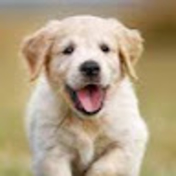 Amelia Malnati - Poshmark Profile Picture of Amelia Malnati (@ameliamalnati) on Poshmark