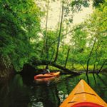 Profile Picture of Amber Winters 📷🌳🍃🌻🍄👣 (@_amberwinters_) on Instagram