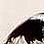 Profile Picture of William Adkins (@pleasebuy) on Flickr