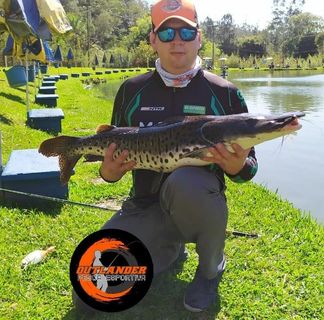 Profile Picture of Jefferson Clayton Persel (@jefferosn.claytonpersel) on Facebook