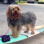 Profile Picture of Kenneth Garza (@hippourmart) on Instagram