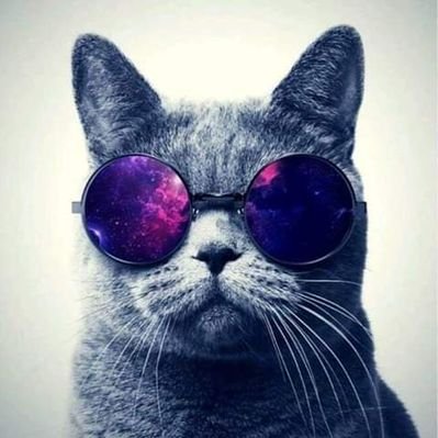 Lucia Portillo Lamas - Twitter Profile Picture of Lucia Portillo Lamas (@LamasPortillo) on Twitter