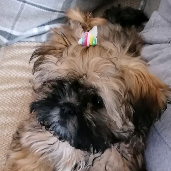 Profile Picture of debbie (@debbiebeevers123) on Tiktok