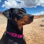 Profile Picture of Gretzky B. Trollin Jr. (@gretzkybetrollin) on Instagram