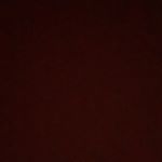 Profile Picture of Jamison (@jamison_adams34) on Instagram