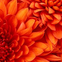 Margo Meyer - Quora Profile Picture of Margo Meyer (@margo-meyer-2) on Quora