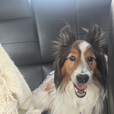 Profile Picture of Ted Stout (@TedStout4) on Twitter