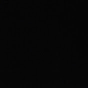 Profile Picture of Paul Castro (@paulcastro5099) on Youtube