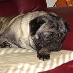 Profile Picture of Gary Liu (@garyliu604) on Instagram