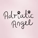 Profile Picture of Adriatic Angel Cavaliers (@adriatic_angel_cavaliers) on Instagram