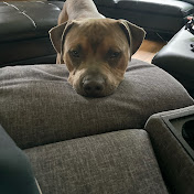 Profile Picture of Maria Gartee (@mariagartee8444) on Youtube