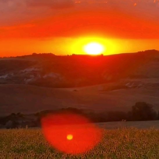 Profile Picture of Paul Roman (@paulroman80) on Tiktok