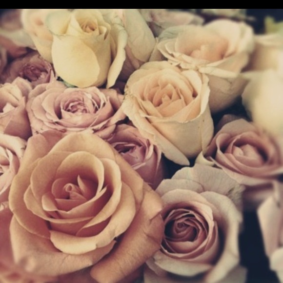 Profile Picture of Brittany Apruzzese (@bapruzzese) on Poshmark