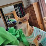 Profile Picture of Katherine Ann Martindale (@craftlady1950) on Instagram