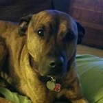 seth berkson - Instagram Profile Picture of seth berkson (@berksonseth) on Instagram