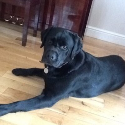Profile Picture of Paul Millard (@paulmillard1) on Twitter
