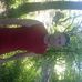 Profile Picture of Thomas Halgreen (@thomas.halgreen.3) on Facebook
