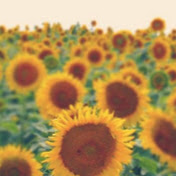 Profile Picture of Taylor Fraser (@taylorfraser2373) on Youtube