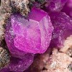 Profile Picture of Tomasz Praszkier (@mineralcity) on Instagram