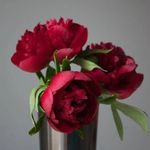 Ramona Heitzler - Instagram Profile Picture of Ramona Heitzler (@heitzlerramona) on Instagram