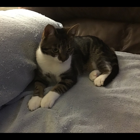 Profile Picture of Tylene Stephen (@tylenestephen) on Poshmark