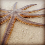 Profile Picture of Michael Lopez (@mlopezphotovideo) on Flickr